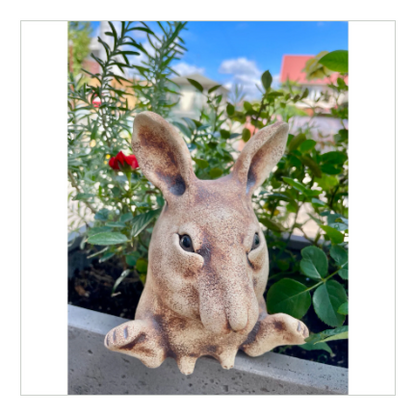 陶仁　うさぎ