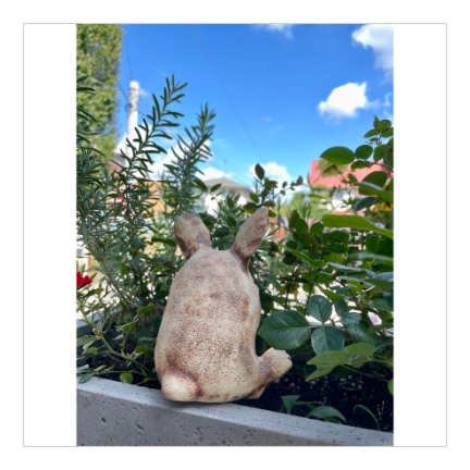 陶仁　うさぎ